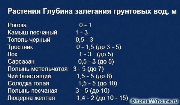 Определенные культуры могут указывать на близость влаги